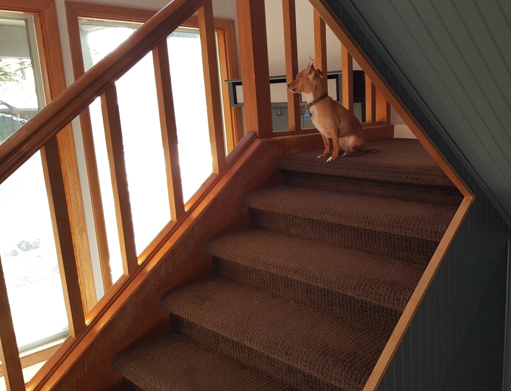 BEFORE: Original staircase with worn treads before the remodel at the South Vancouver home.